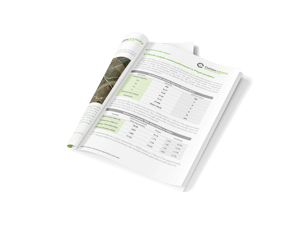 4mm-001-Informe de revisión