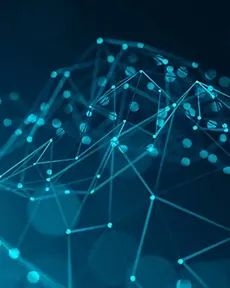 Cybersecurity 3 OPT